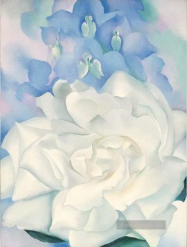  georgia - Weiße Rose mit Larkspur No2 Georgia Okeeffe Amerikanische Moderne